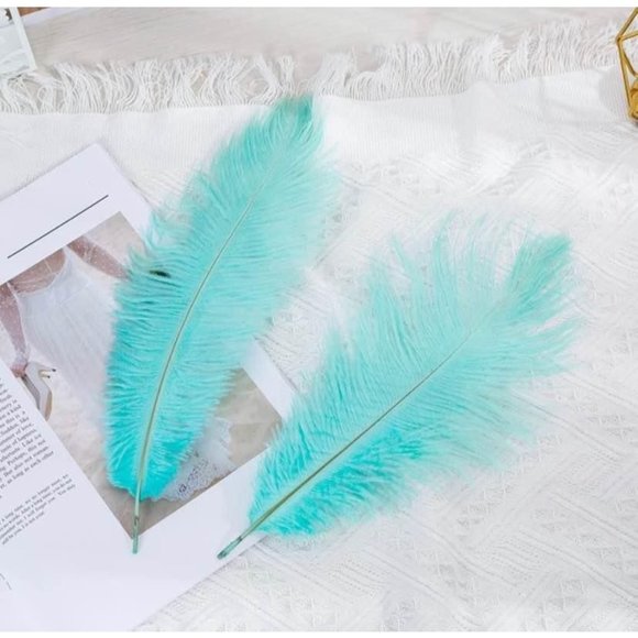 20 Count | Tiffany Blue Feathers Hydrangeas & White Roses Bouquet - Picture 3 of 7